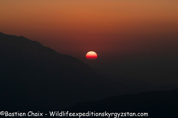 Французская экспедиция представила редкие снимки дикой природы заповедника «Беш-Арал»