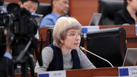 Депутат Строкова заподозрила, что представитель правительства в ЖК плохо понимает русский язык