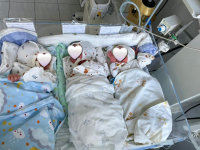 В Бишкеке родилась тройня