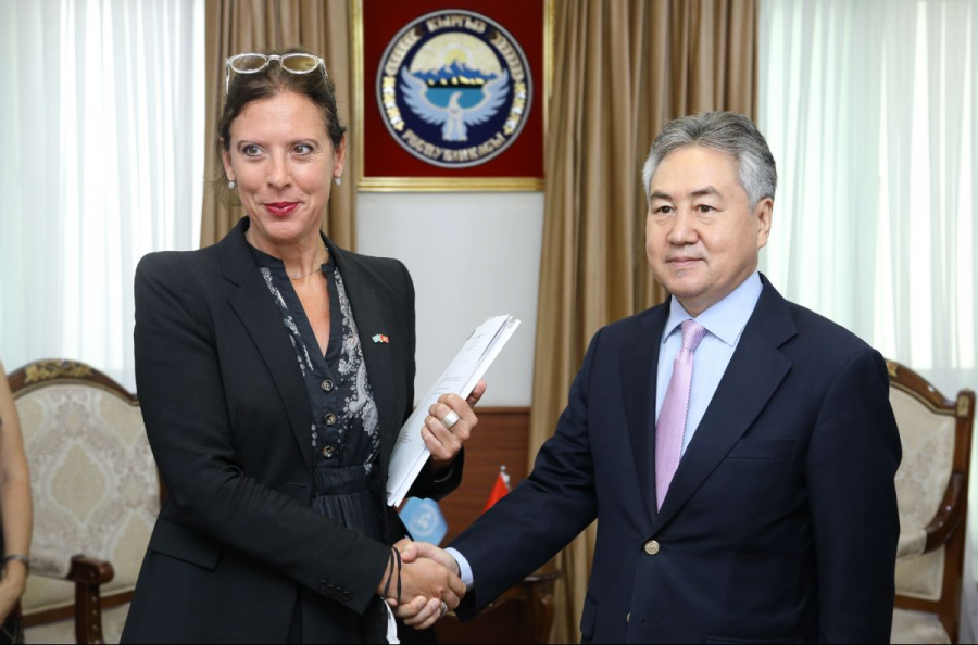 Министр иностранных дел Кыргызстана принял нового координатора ООН в КР