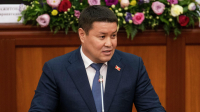 Талант Мамытов: Надо создать депутатскую комиссию по проверке еды детей и подростков