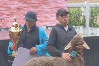 На Кырчыне хозяин самого тяжелого барана выиграл авто и медаль