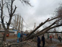 В результате сильного ветра в Бишкеке и двух областях пострадали 16 жилых и 5 многоэтажных домов