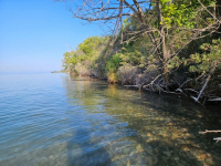 Эксперт предупредила, засыпка берега Иссык-Куля может привести к проблемам в будущем