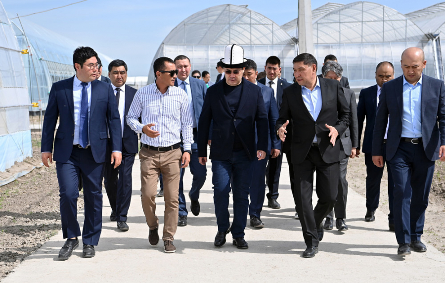 Президент Садыр Жапаров ознакомился с инновационной технологией выращивания тепличных овощных культур в Иссык-Атинском районе