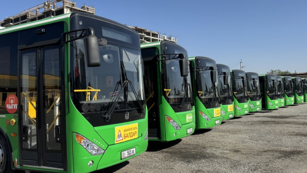 V Biškeku spremenili traso avtobusne linije št. 195 zaradi prošenj občanov