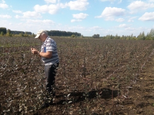 ОАО «Айыл банк» и ОАО «РСК Банк» продолжат поддерживать фермерские проекты
