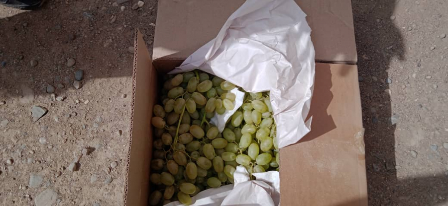 Пограничники не позволили контрабандистам провезти виноград из Таджикистана в Кыргызстан