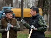 Албек Ибраимов объяснил президенту причины вырубки деревьев в Бишкеке   