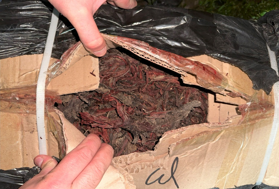 Из Кыргызстана пытались незаконно вывезти 825 кг корней краснокнижного растения арнебия