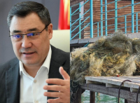 Садыр Жапаров просит жителей Иссык-Куля добровольно сдать рыболовные сети