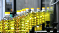Госантимонополия выдала торговцам 35 предписаний по факту завышения цен на подсолнечное масло и сахар