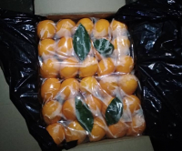 В Баткенском районе задержана контрабанда более 3 тонн лимонов