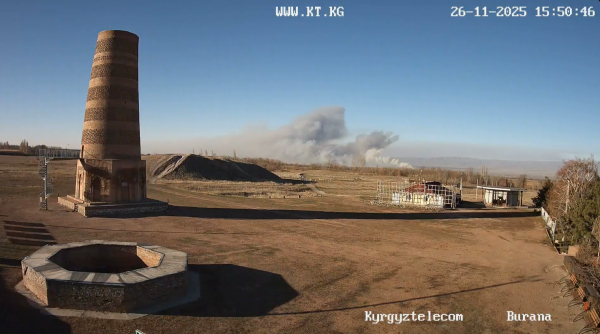 Пожар в районе башни Бурана в Чуйской области