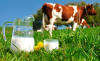 Минфин: По проекту «Комплексное повышение производительности молочного сектора» профинансированы 774 фермера на 1,16 млн долларов