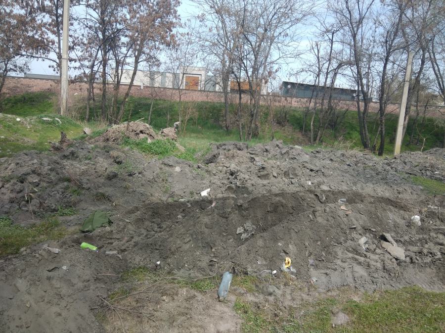 Вырубают деревья, заваливают мусором и землей. Как в Бишкеке уничтожают ...