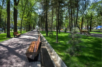 «В городе много людей, которые держат домашних животных», - Айбек Джунушалиев