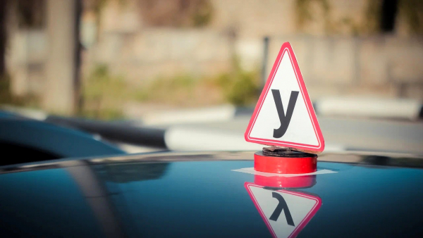 Обучение вождению 14 месяцев и перевод частных автошкол в госуправление. Что еще?