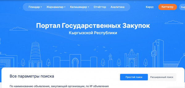 Счетная палата выявила серьезные проблемы в работе портала госзакупок