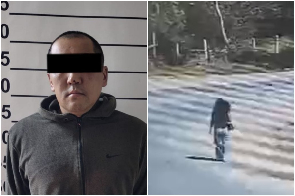 Убийство 17-летней Айсулуу. Правозащитница требует наказать следователя и судью