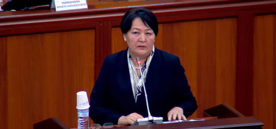 В ЖК утвердили кандидатуру Догдуркул Кендирбаевой на должность министра образования