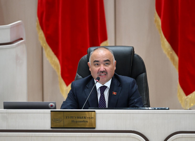 Менің әйелім үлкен дилдоды жақсы көреді.