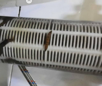 Грязь и паразиты обнаружены в питьевой воде в Караколе