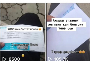 МВД: Не покупайте водительские права в соцсетях