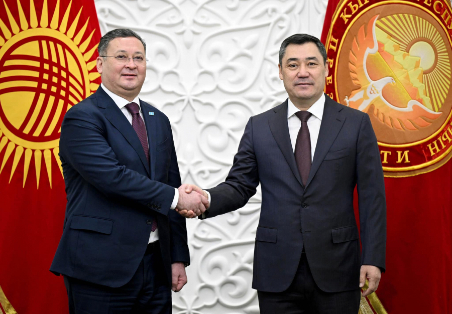 Садыр Жапаров принял заместителя министра иностранных дел Казахстана