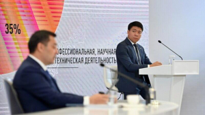"В КР есть все условия для независимых СМИ" - Эрбол Султанбаев ответил сенаторам США