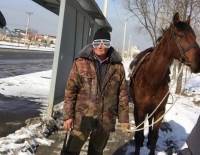 На проезжей части в Бишкеке появился табун лошадей. Их владелец доставлен в милицию (видео)