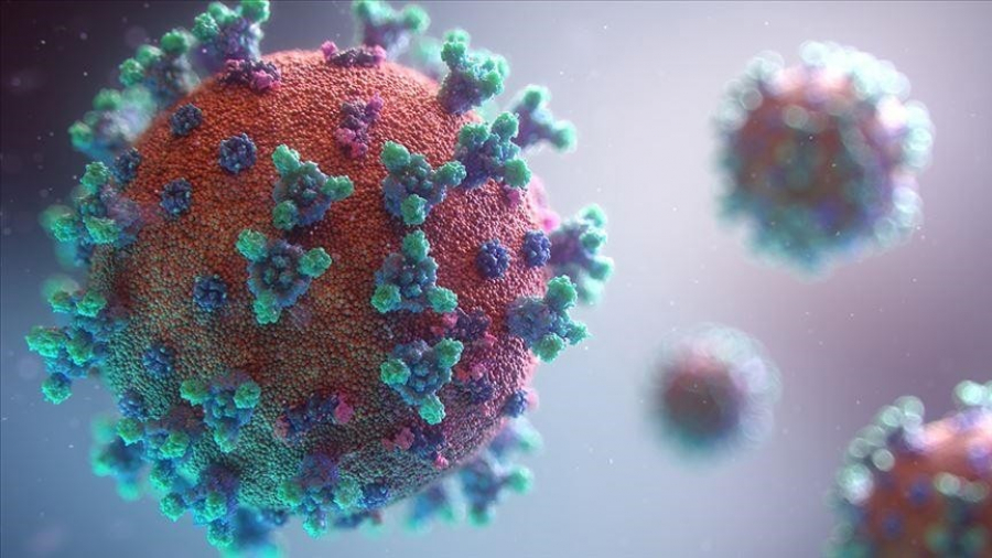 Британские ученые выявили новый штамм коронавируса
