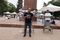 Мэрия Бишкека не враг деревьям, - вице-мэр Рамиз Алиев