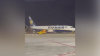 На Майорке вспыхнул пожар на борту самолёта Ryanair, есть пострадавшие (видео)