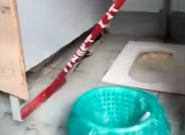 «Трубы текут каждый день!». Школьники пожаловались президенту на состояние туалетов