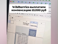 Селлеры Wildberries выражают недовольство первыми выплатами после атак БПЛА на склады маркетплейса