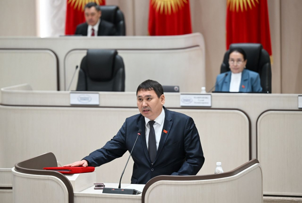 Депутат заявил о возможной попытке скрыть нарушение ПДД участницей ДТП