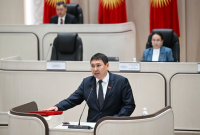 Депутат заявил о возможной попытке скрыть нарушение ПДД участницей ДТП