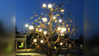 В новом бишкекском парке «Ынтымак» появилось дерево энергии (фото)