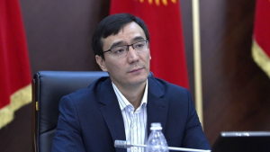 Медер Алиев: Кокулов может нарушил этические нормы, но суть его вопросов была правильная