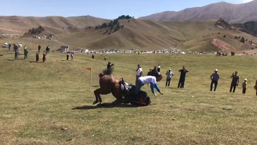 В Иссык-Атинском районе юноша скончался после падения с лошади