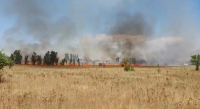 Аномальная жара привела к пожару в селе Заречное (видео)