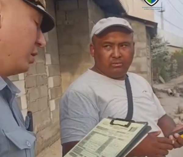Стройкомпания в Бишкеке повредила деревья и отказалась признавать нарушения