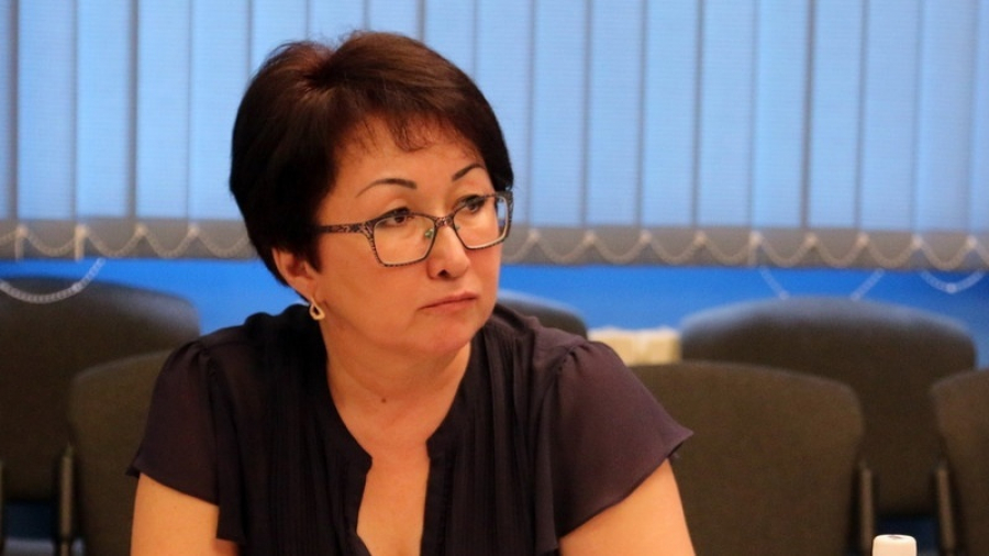 Гульнара Ускенбаева: Цифровизация и ККМ помогут искоренить коррупцию. Но реализация программы создает проблемы