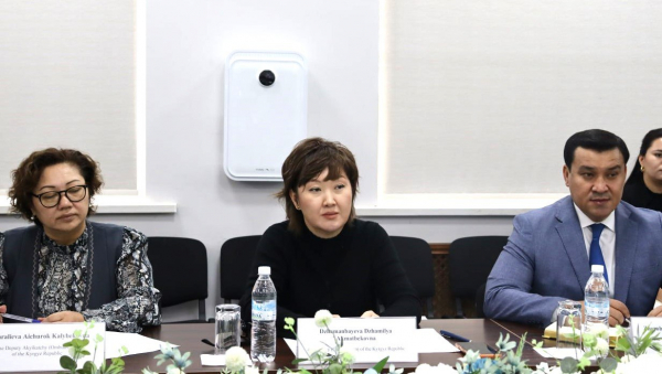 Омбудсмен КР: Возвращение смертной казни не решит проблему с насилием