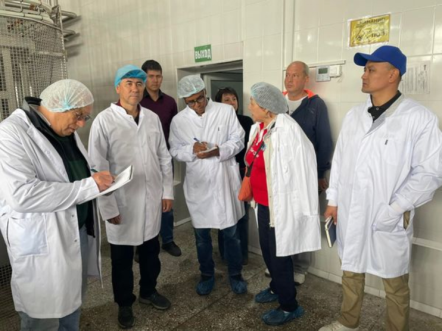  Миссия ВБ посетила молокоперерабатывающий завод «Ак-Булак Плюс» в Караколе															0