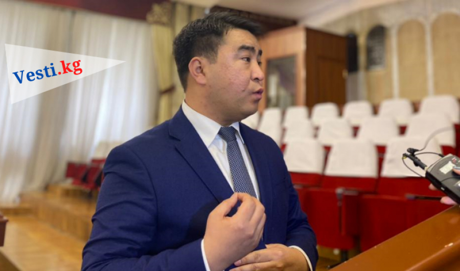 Жанар Акаев, согласно новым поправкам ЦИК, не получит депутатский мандат
