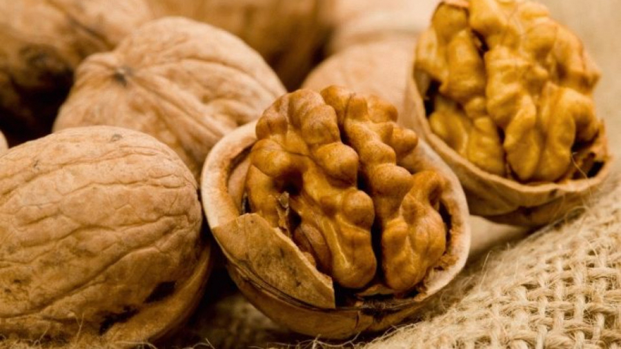 400 тонн кыргызских орехов будут экспортированы в Турцию