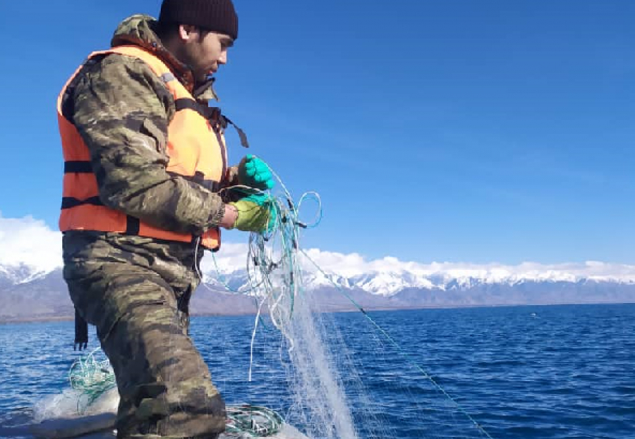 На Иссык-Куле обнаружили 41 рыболовную сеть длиной 4 100 метров
