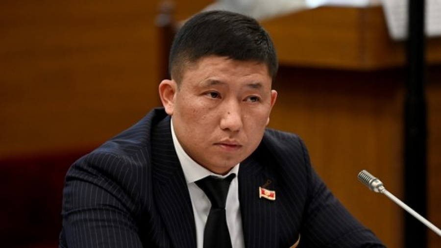 Депутат Карим Ханджеза предложил увеличить часы изучения кыргызского языка в школах